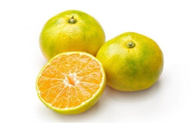 ふるさと納税 「［極早生みかんの逸品］和歌山県産ゆら早生みかん約5kg