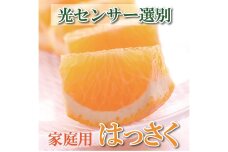 ＜1月より発送＞家庭用 はっさく10kg+300g（傷み補償分）