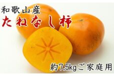 【秋の味覚】和歌山産たねなし柿ご家庭用約7.5kg★2025年9月中旬頃より順次発送【TM11】