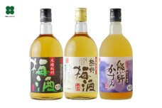 梅酒3本セット