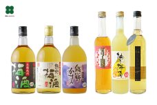 梅酒6本セット