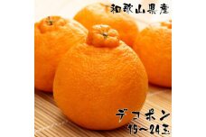 厳選 和歌山有田 の 濃厚 デコポン 15～24玉（約5kg）【MS78】