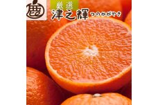 ［先行予約］厳選 津之輝10kg+250g（傷み補償分）［IKE272］