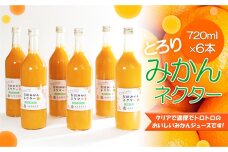 とろり　みかんネクター720ml×6本