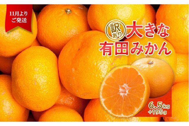 ふるさと納税 「＜11月～発送＞家庭用大きな有田みかん6.5kg+195g（傷み補償分）【訳あり】【光センサー選果】」 和歌山県上富田町 -  ふるさと納税の「ふるさとぷらす」