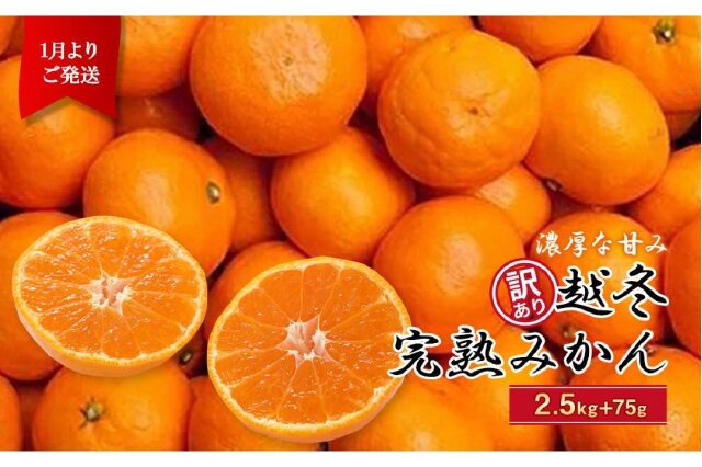 種類豊富な品揃え 2月発送 家庭用はるみ5kg 150g 傷み補償分 fucoa.cl