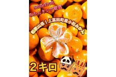 【先行予約】小粒みかん2Kg 2024年10月下旬以降順次発送