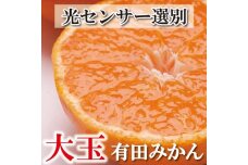 家庭用 大きな有田みかん5kg+250g（傷み補償分）［先行予約］［IKE178］