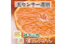 ＜1月より発送＞厳選 越冬完熟みかん5kg+150g（傷み補償分）訳あり