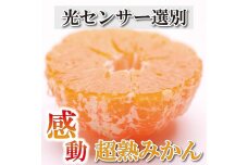 ＜11月より発送＞家庭用 超熟有田みかん4kg+120g（傷み補償分）訳あり