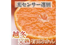 ＜1月より発送＞家庭用 越冬完熟みかん2.5kg+75g（傷み補償分）訳あり