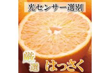 ＜1月より発送＞家庭用 はっさく6.5kg+195g（傷み補償分）