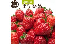 ＜１月より発送＞朝摘み完熟まりひめ約1.2kg（300g前後×4トレイ）【和歌山ブランド苺まりひめ】