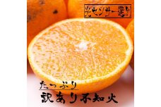 ＜2月より発送＞家庭用 不知火5kg+150g（傷み補償分）