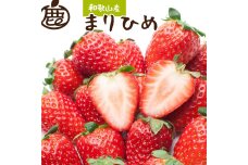 ＜１月より発送＞朝摘み完熟まりひめ約600g（300g前後×2トレイ）【和歌山ブランド苺まりひめ】