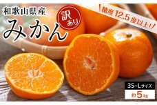 和歌山県産 糖度12.5度 以上 訳ありみかん5kg 3S ～L サイズ混合【MG57】