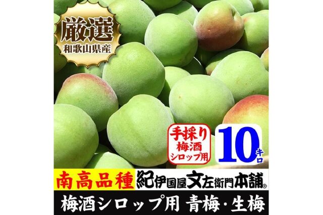 ふるさと納税 「10kg【緑】□特大サイズ 南高梅 梅酒用 フレッシュ青梅