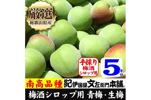 無料配送 和歌山産 完熟南高梅 特大4L以上 ５kg | ebot.edac.co.in