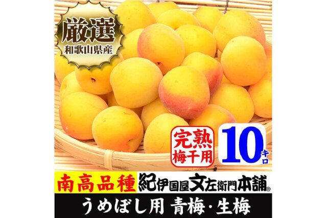 ふるさと納税 「10kg 黄色【完熟】大サイズ 南高梅 梅干用フレッシュ青梅（生梅）／紀伊国屋文左衛門本舗」 和歌山県上富田町 -  ふるさと納税の「ふるさとぷらす」