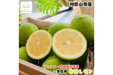 ［先行予約］紀州和歌山 ご家庭用 有田 レモン 1kg［MS150］