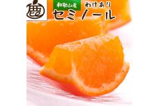 ＜4月より発送＞家庭用 セミノールオレンジ3kg+90g（傷み補償分）