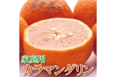 ＜4月より発送＞家庭用 カラマンダリン2.5kg+75g（傷み補償分）［IKE68］