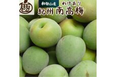 ＜6月発送＞家庭用 紀州南高梅(青梅)2kg+60g（傷み補償分）訳あり