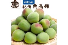 厳選 紀州南高梅(青梅)1kg+250g（傷み補償分）【梅干し・梅酒・梅ジュース】［IKE216］