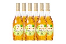 ザ・チョーヤ 大地の梅 700ml ×6本セット
