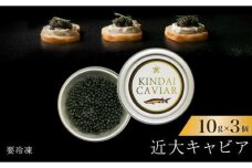 近大キャビア10ｇ×3個