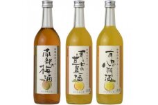 (A002)和歌のめぐみ酒【B】セット 720ml×3種 (有田の八朔酒／南部の梅酒／有田の甘夏酒)