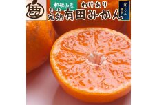 家庭用 有田みかん5kg+250g（傷み補償分）［先行予約］［IKE79］