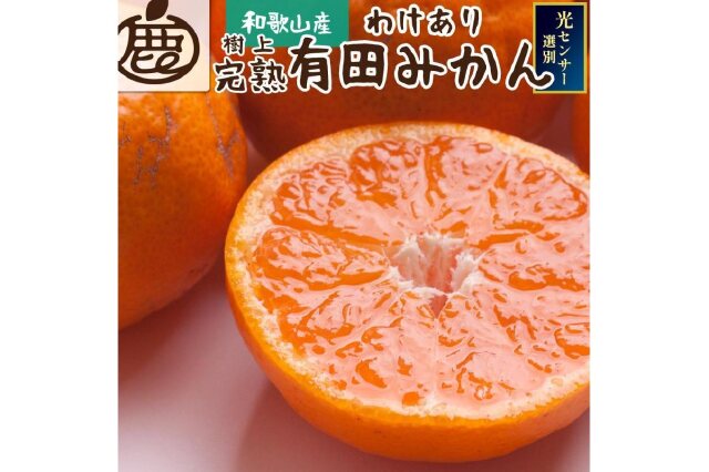 ふるさと納税　7kg　広川町　なつみオレンジ　価格比較
