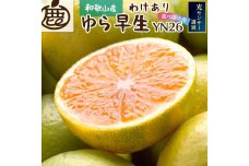 ＜9月より発送＞家庭用 極早生有田みかん5kg+150g（傷み補償分）YN26 ゆら早生 訳あり