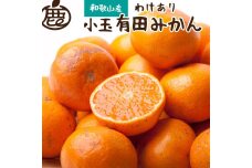 ＜11月より発送＞家庭用 小玉な有田みかん3kg+90g（傷み補償分）訳あり