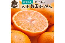 ＜11月より発送＞家庭用 大きな有田みかん5kg+150g（傷み補償分）訳あり