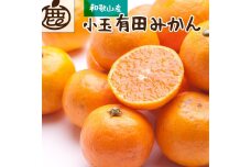 ＜11月より発送＞厳選 小玉な有田みかん2.5kg+75g（傷み補償分）