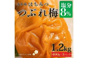 梅干し」のお礼の品検索 3ページ目 - ふるさと納税の「ふるさとぷらす」