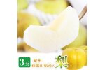梨 3玉 化粧箱入 紀州和歌山 かつらぎ産［2026年8月中旬以降発送予定］［UT98］