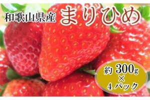 【3月発送】和歌山県産ブランドいちご「まりひめ」約300g×4パック【北海道・沖縄県・離島配送不可】