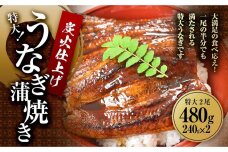 うなぎ蒲焼き2尾入り 480g（蒲焼たれ4袋 山椒付き）【年末発送：12月25日～29日発送】