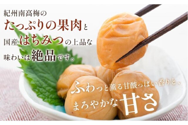 ふるさと納税 「極上 紀州南高梅 はちみつ 梅干し 3L サイズ以上
