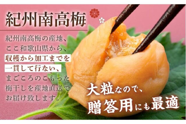 ふるさと納税 「極上紀州南高梅はちみつ梅干し3Lサイズ以上5kg (1kg×5