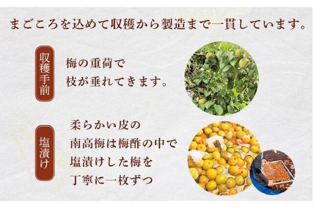 ふるさと納税 「極上紀州南高梅はちみつ梅干し3Lサイズ以上5kg (1kg×5