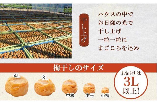 ふるさと納税 「極上紀州南高梅はちみつ梅干し3Lサイズ以上5kg (1kg×5