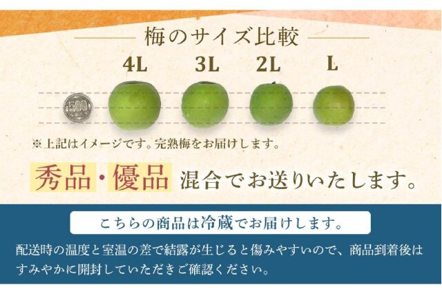 和歌山県産　完熟南高梅‼️L～Ｍサイズ混合‼️15kg　8日以降 和歌山県産 完熟南高梅‼️L～Mサイズ混合‼️15kg 8日