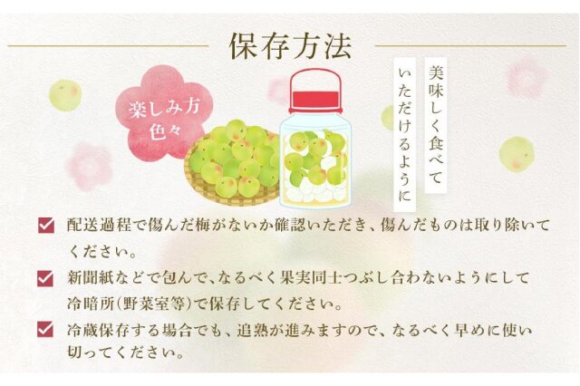ふるさと納税 「【2026年6月上旬以降発送】紀州南高梅(完熟梅) 5kg〈2L