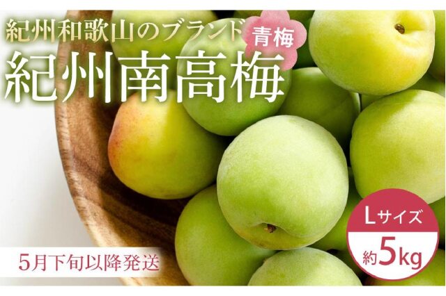 ふるさと納税 「【2026年5月下旬以降発送】紀州南高梅(青梅) 5kg〈L