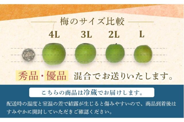 ふるさと納税 「【2026年5月下旬以降発送】紀州南高梅(青梅) 5kg〈L