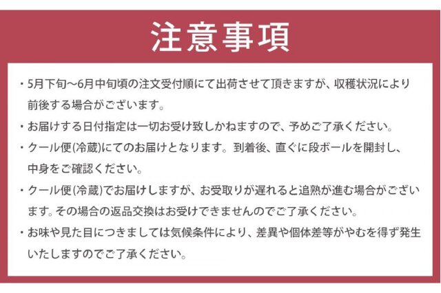 ふるさと納税 「【2026年5月下旬以降発送】紀州南高梅(青梅) 5kg〈L